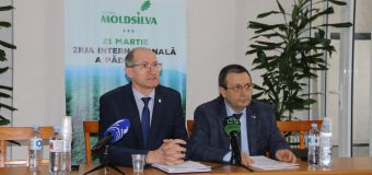 Ministrul Agriculturii, în ședință cu șefii gospodăriilor silvice din întreaga țară: „Vom schimba viziunea și vom modifica și Codul Silvic”