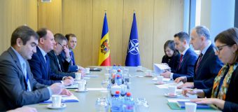Secretar de stat – la consultări politice cu reprezentanții NATO