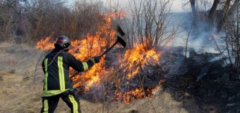 Pompierii au intervenit în peste 50 de situaţii de lichidare a focarelor de ardere a vegetaţiei