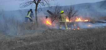 Mai multe focare de vegetaţie arsă, în localitățile din țară