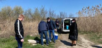 MADRM a creat un grup de lucru pentru a stabili sursa mirosului urât din Chișinău