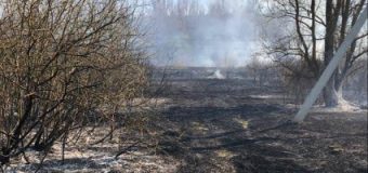 Incendii în păduri! Angajații „Moldsilva”, în acțiune și duminica