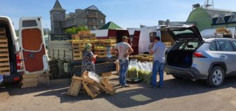 Adresele din Chișinău stabilite pentru comercializarea ambulantă a produselor vegetale autohtone