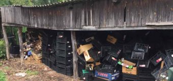 Conducerea „Moldsilva” a luat decizii, urmare a unei vizite de inspecție la Ocolul Silvic Grigoriopol