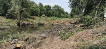 Continuă lucrările de curățare a albiei râului Bâc
