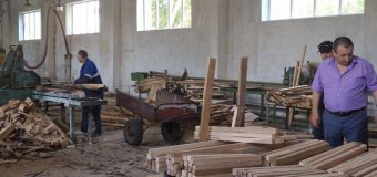 Directorul Agenției „Moldsilva” a efectuat o vizită de lucru la ÎS „Întreprinderea pentru Silvicultură Glodeni”