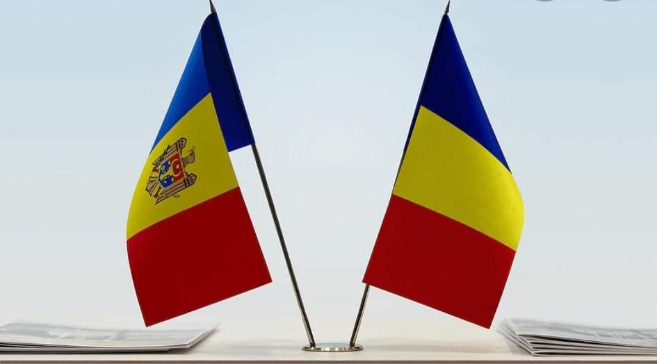 IP FISM a elaborat Rapoarte de verificare a licitațiilor organizate de către Comisiile de evaluare a beneficiarilor