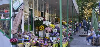 Trotuarul din str.Bănulescu-Bodoni, în perimetrul bd. Ştefan cel Mare şi Sfânt şi Columna, urmează să intre în curând în reparaţie