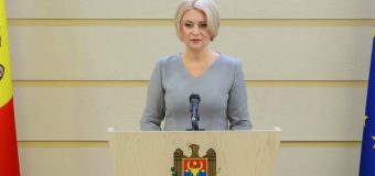 Violeta Ivanov: Statul este obligat să acorde agricultorilor, pentru sisteme de irigare, credite fără dobândă pe termene de 15-20 de ani