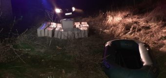 11 mii de pachete cu țigări – depistate pe malul Nistrului