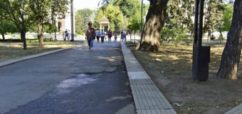 Parcul Catedralei și Grădina Publică „Ștefan cel Mare și Sfânt” vor fi reabilitate în anul 2021