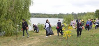Locuitorii capitalei sunt îndemnați să iasă mâine la salubrizare teritoriului municipiului