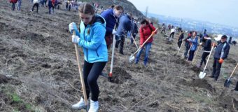 Mâine se dă startul campaniei de plantare a arborilor pe teritoriul capitalei