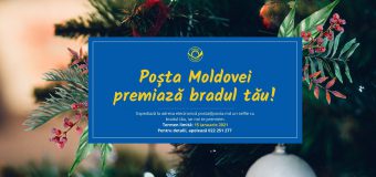 Poșta Moldovei: Suntem în căutarea celui mai frumos brad de Crăciun!