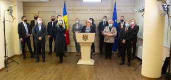 „Pentru Moldova”: Trebuie să aflăm viziunile Nataliei Gavriliță și apoi vom decide