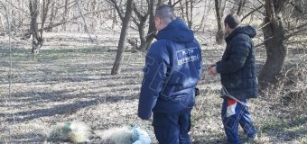 Doi „pescari” – surprinși la frontieră în timp ce-și întindeau plasele în râul Prut