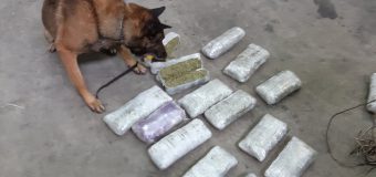Cinci membri ai unui grup criminal organizat – reținuți pentru trafic de droguri din Uniunea Europeană