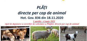 Deținătorii de animale pot depune cerere de solicitare a plăților per cap de animal la AIPA