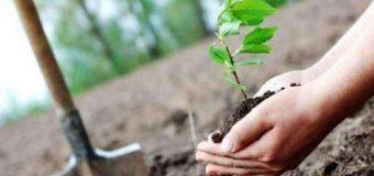 AIPA reamintește că de la 15 aprilie recepționează solicitările cererilor în avans pentru proiecte start-up