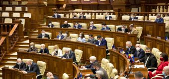 Parlamentul a votat proiectul cu privire la grupurile de acțiune locală
