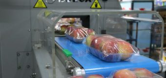 Producătorii de fructe din regiunea transnistreană au acces la primul echipament modern de ambalare de tip flow-pack a fructelor