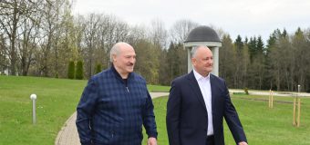 Dodon, timp de două zile, în Belarus