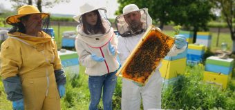 Cu suportul AIPA, o familie și-a creat o afacere cu miere de albine