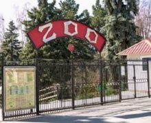 Grădina Zoologică din Chișinău a trecut la programul sezonului de iarnă