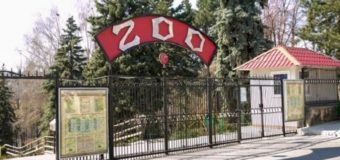 Zilnic, la Grădina Zoologică din Chișinău vin până la 12 mii de vizitatori