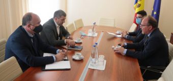 Lilian Carp a purtat discuții cu ambasadorul României, Daniel Ioniță
