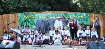 „Moldsilva”, despre desfășurarea festivalurilor în fondurile forestiere