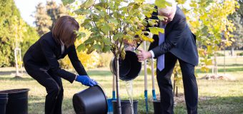 (FOTO) Președinții Germaniei și R. Moldova au sădit pomi la Grădina Botanică