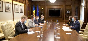 Președintele Parlamentului a avut o întrevedere cu Ambasadoarea Suediei la Chișinău