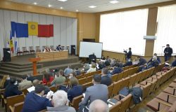 Deșeurile vegetale și cele din construcții din Capitală vor fi colectate printr-o platformă de reciclare