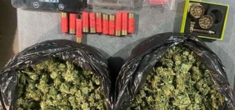 Captură de droguri de 600 mii de lei. Trei bărbați plasați în arest