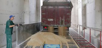 Indicele FAO al prețurilor la alimente continuă să crească în septembrie