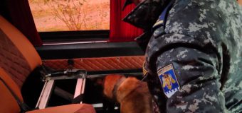 (FOTO/VIDEO) Șase persoane reținute pentru contrabandă cu 600.000 de țigarete și 4.000 litri de alcool
