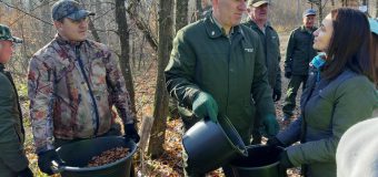 Cum a decurs campania de împădurire în R. Moldova
