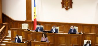 Parlamentul a constituit Comisia de anchetă privind modul de exploatare a substanțelor minerale utile și determinarea impactului asupra mediului