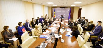 Discuții la Parlament despre auditul achizițiilor publice ale MECC