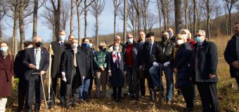 Maia Sandu: Restabilind pădurile Moldovei, putem opri eroziunea solurilor și alunecările de teren