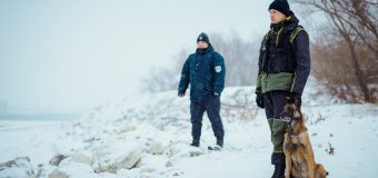 Circa 700 de angajați ai Poliției de Frontieră vor asigura controlul și supravegherea frontierei de Revelion