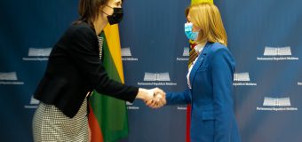 Doina Gherman, la discuții cu Președinta Parlamentului Republicii Lituania. Despre ce au vorbit