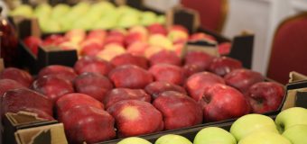 Creștere de circa 30 % a volumelor de fructe exportate în UE anul trecut
