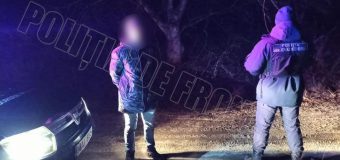 Trecere ilegală a frontierei și 60 kg de pește viu fără acte de proveniență, depistate