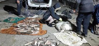 Doi moldoveni, surprinși în timp ce pescuiau ilegal într-un bazin situat în zona frontierei. Aveau cu ei aproximativ 100 kg de pește
