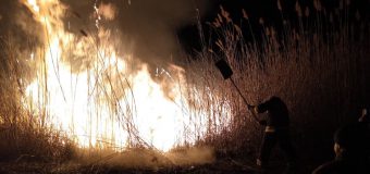 Incendiu în Rezervația „Prutul de Jos”. Aproximativ 100 ha de stufăriș a fost cuprinsă de flăcări