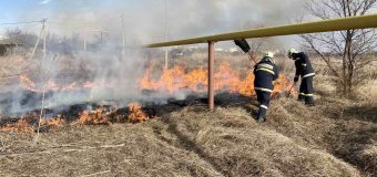 55 focare de vegetație uscată, stinse de pompieri în ultimele 24 de ore: Oamenii sunt rugați să respecte regulile antiincendiare
