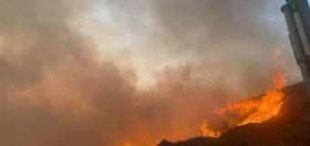 Șeful statului cere sancțiuni mai dure pentru cei vinovați de provocarea incendiilor de vegetație