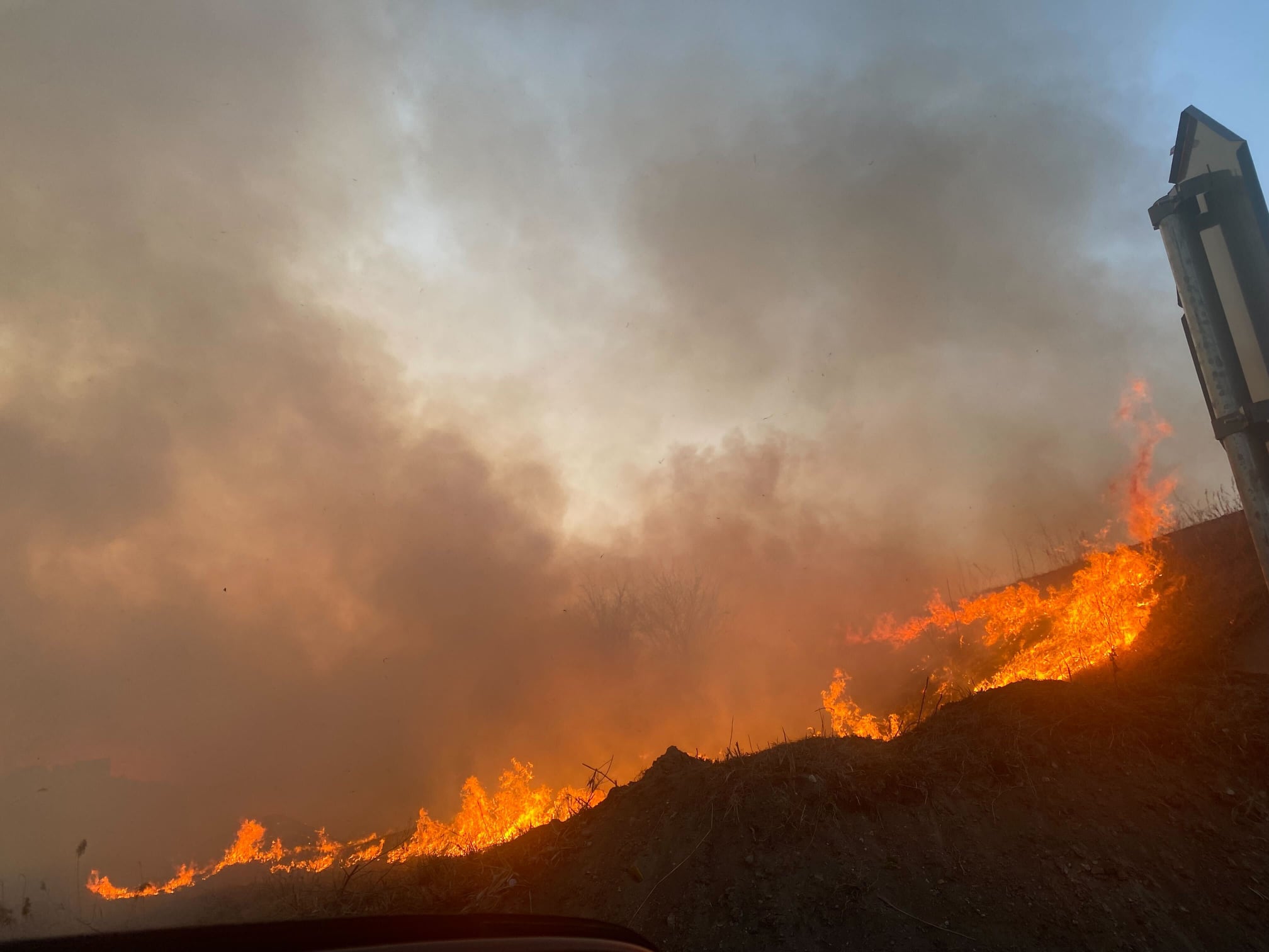 Șeful statului cere sancțiuni mai dure pentru cei vinovați de provocarea incendiilor de vegetație